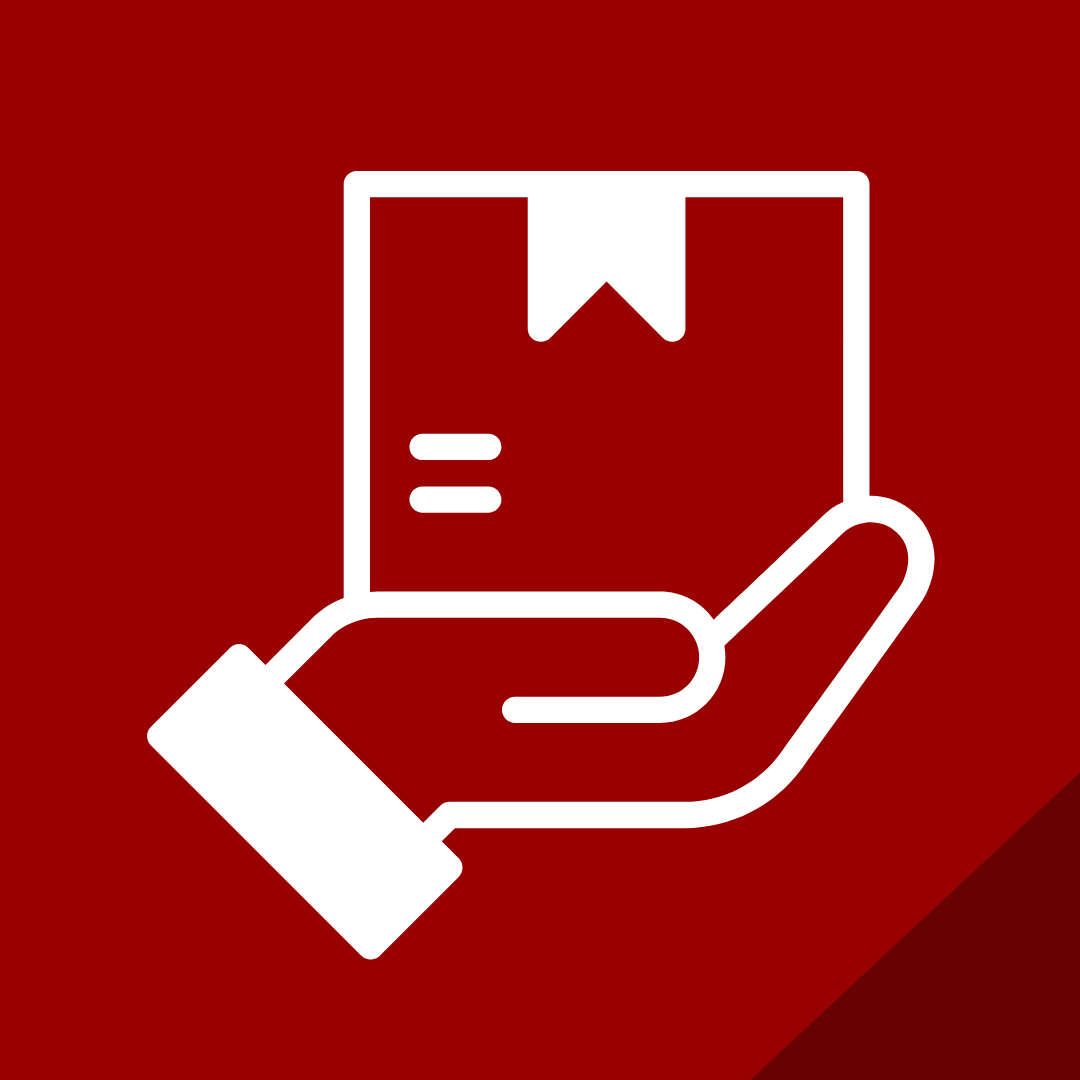 iconaweb-masich-entrega